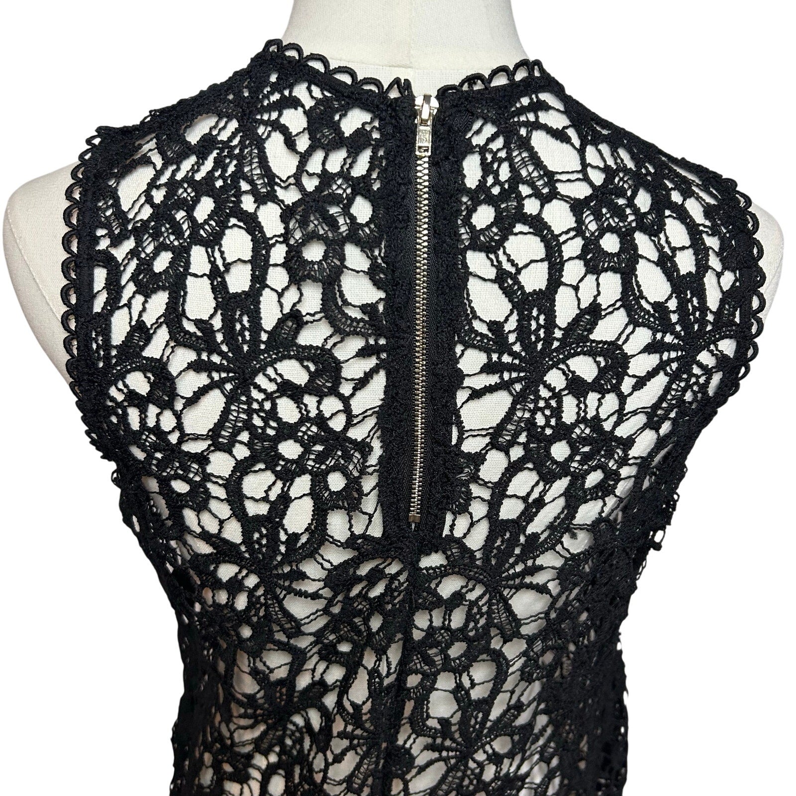 Black Sheer Lace Sleeveless Top Metal Zip Goth Glam S Whimsigoth Coquette Grunge