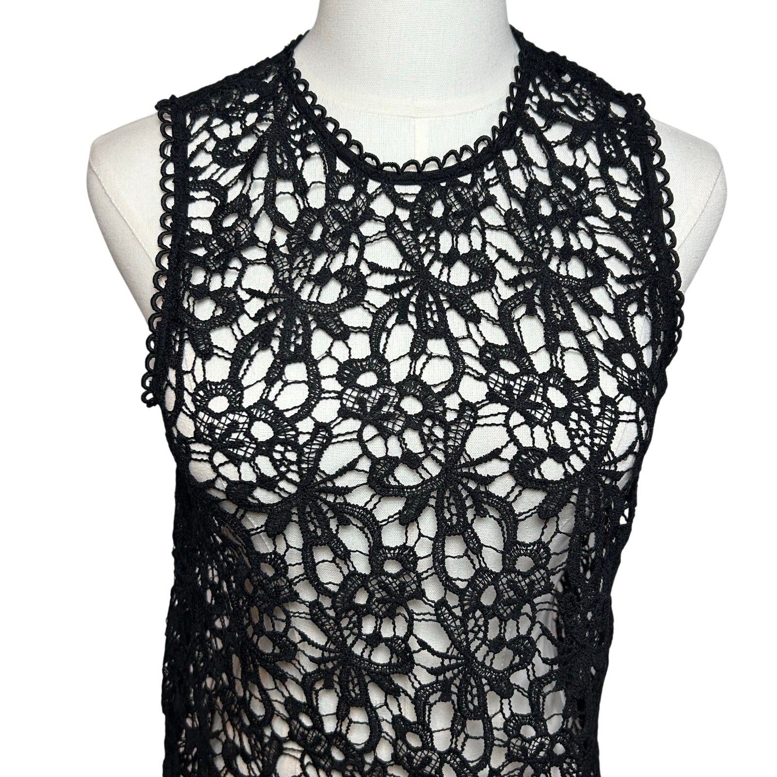 Black Sheer Lace Sleeveless Top Metal Zip Goth Glam S Whimsigoth Coquette Grunge