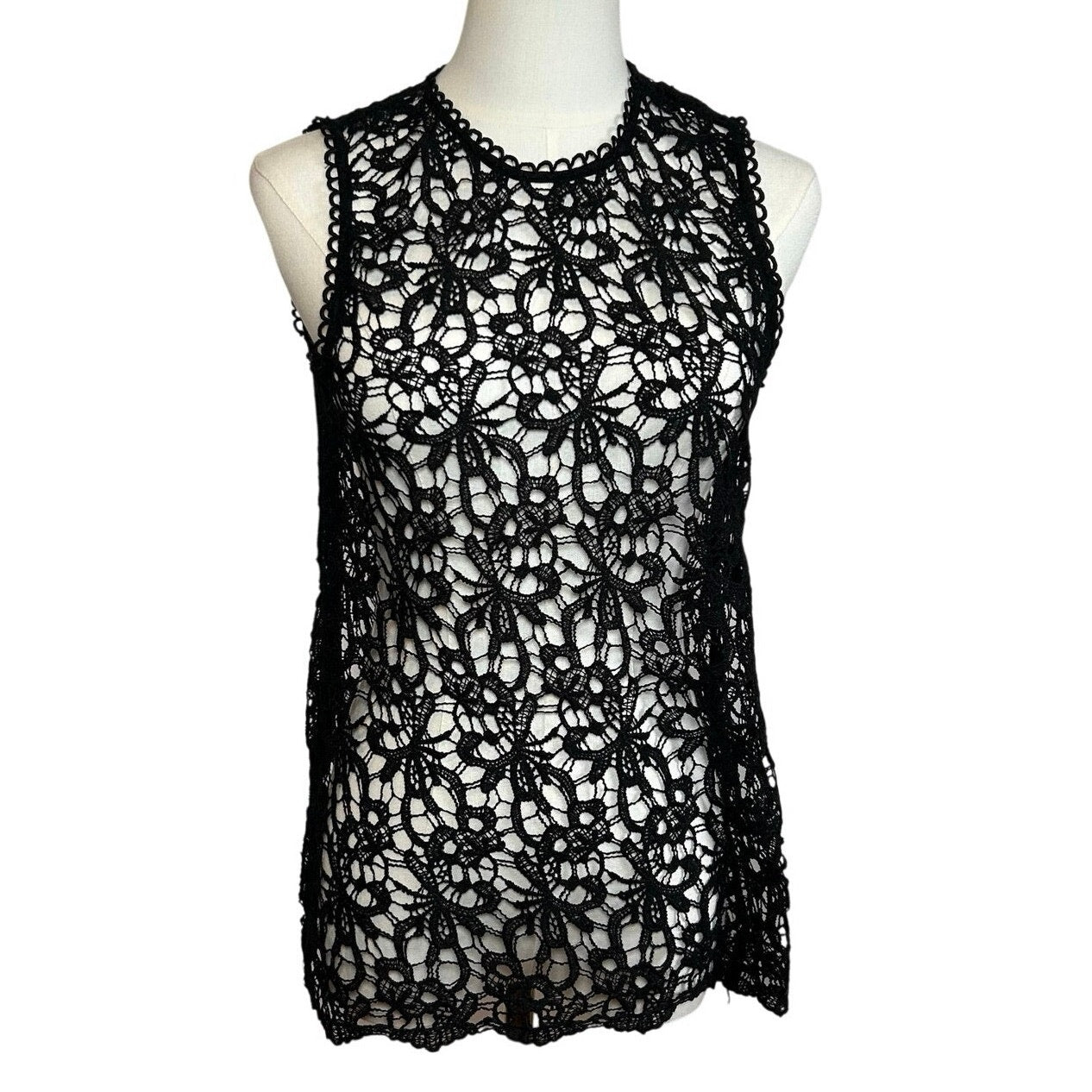 Black Sheer Lace Sleeveless Top Metal Zip Goth Glam S Whimsigoth Coquette Grunge