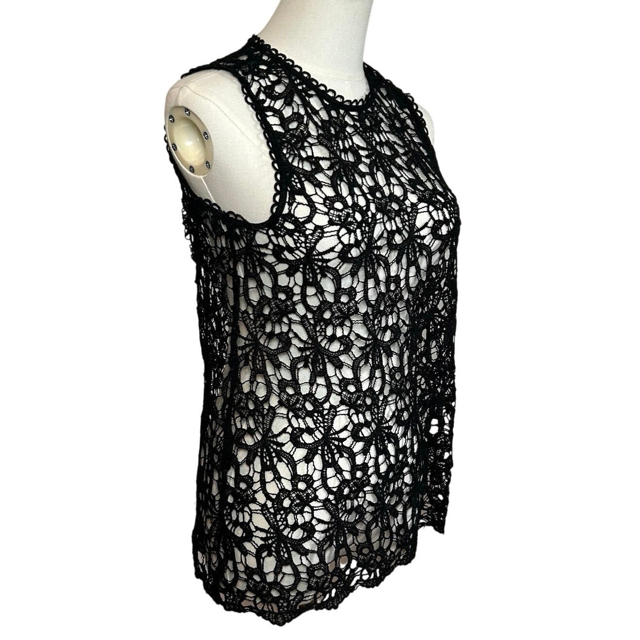 Black Sheer Lace Sleeveless Top Metal Zip Goth Glam S Whimsigoth Coquette Grunge