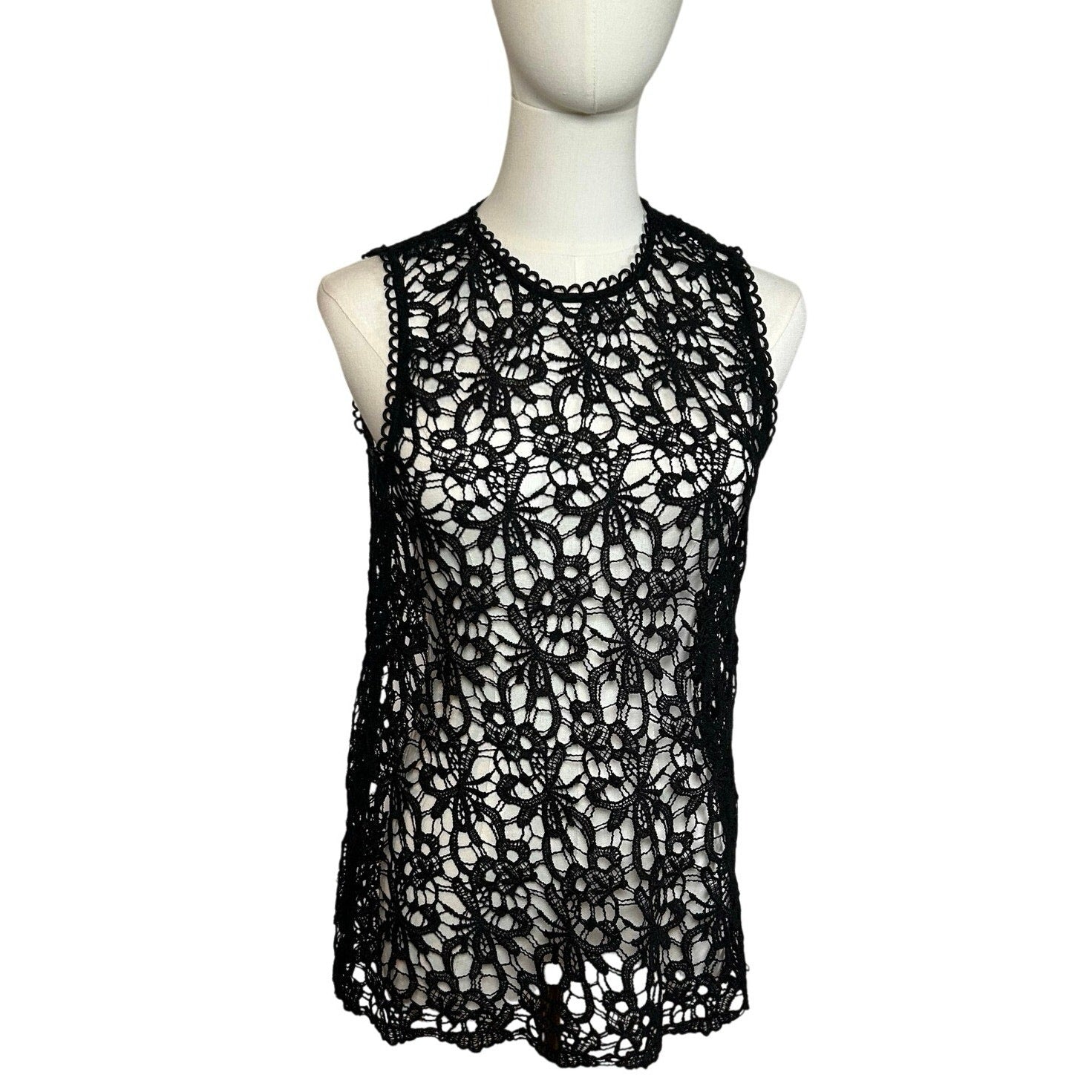 Black Sheer Lace Sleeveless Top Metal Zip Goth Glam S Whimsigoth Coquette Grunge