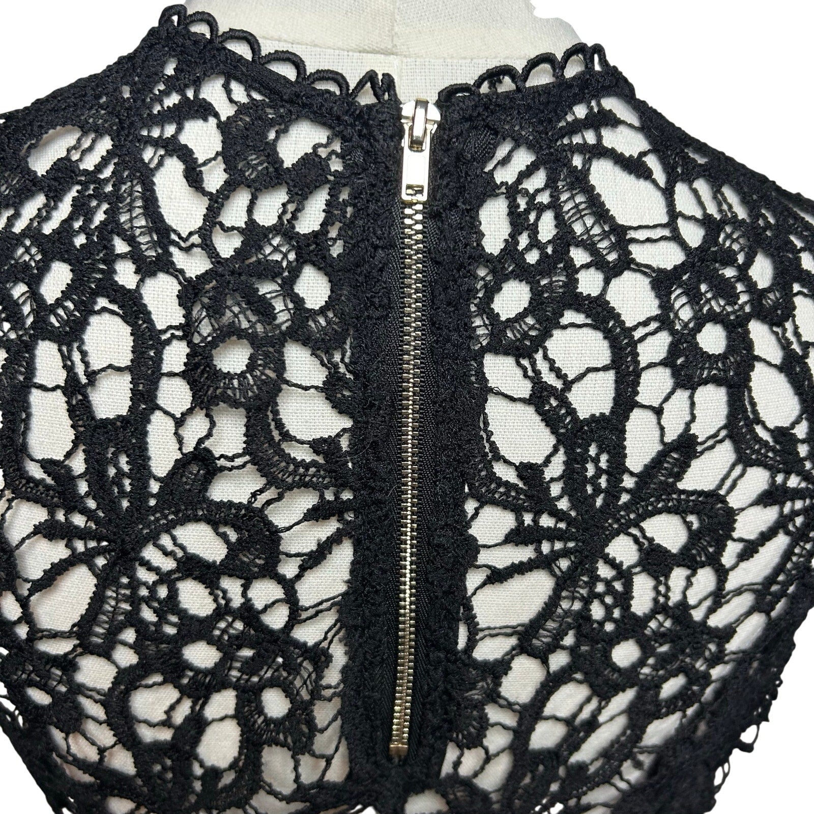 Black Sheer Lace Sleeveless Top Metal Zip Goth Glam S Whimsigoth Coquette Grunge