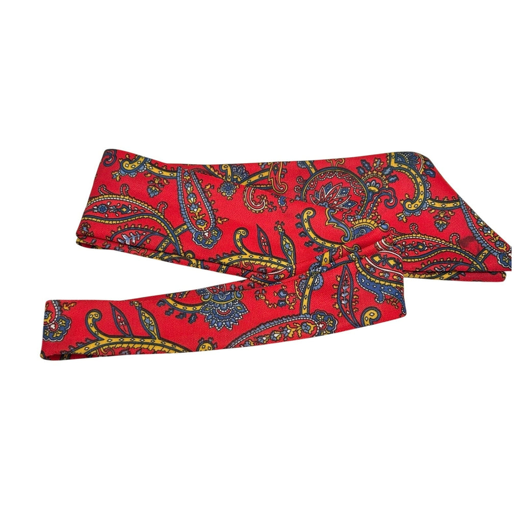 VTG 70s Red Paisley Dagger Collar Midi Dress with Matching Belt M Whimsygoth