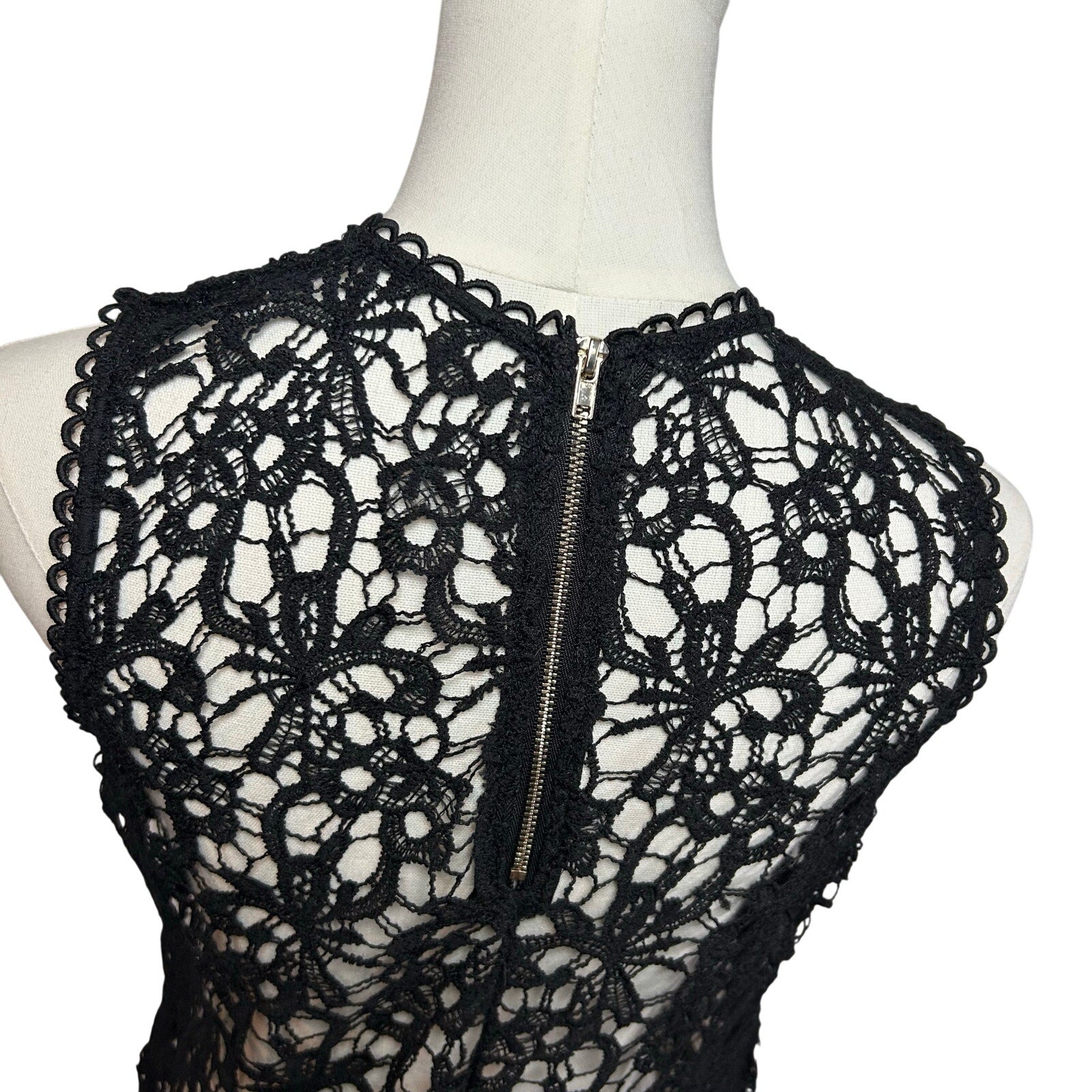 Black Sheer Lace Sleeveless Top Metal Zip Goth Glam S Whimsigoth Coquette Grunge
