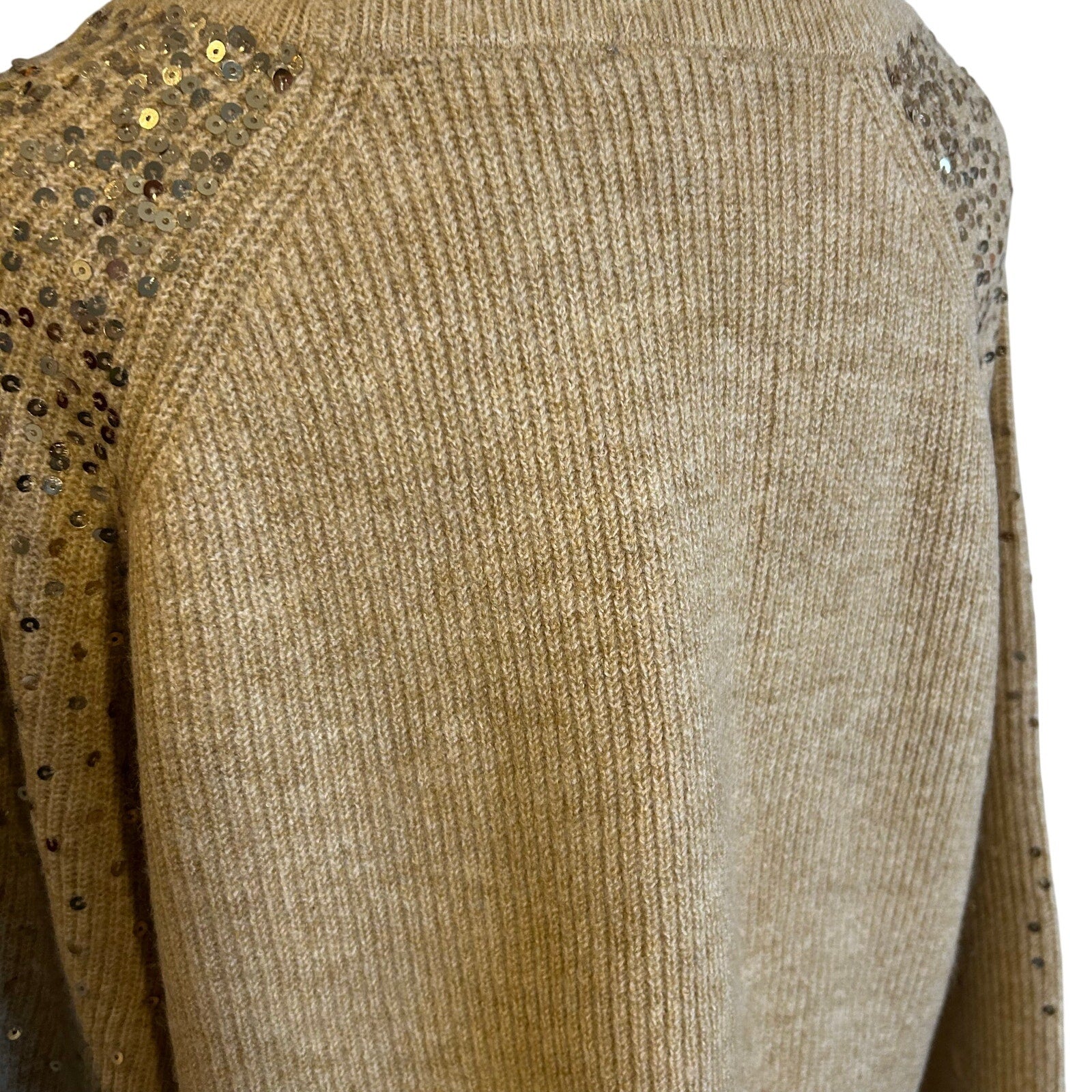 Vince Camuto Sequin Raglan Pullover Sweater NWT Camel Gold Sz L MSRP $69 Party